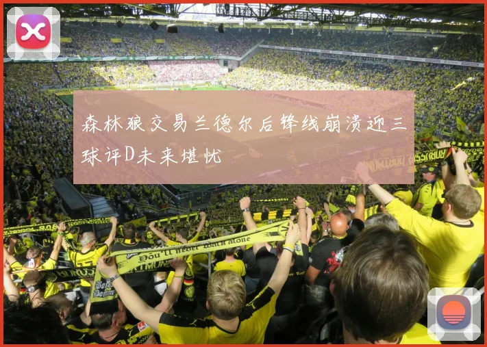 森林狼交易兰德尔后锋线崩溃迎三球评D未来堪忧