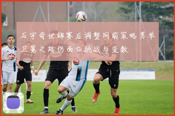 石宇奇世锦赛后调整网前策略男单卫冕之路仍面临挑战与变数