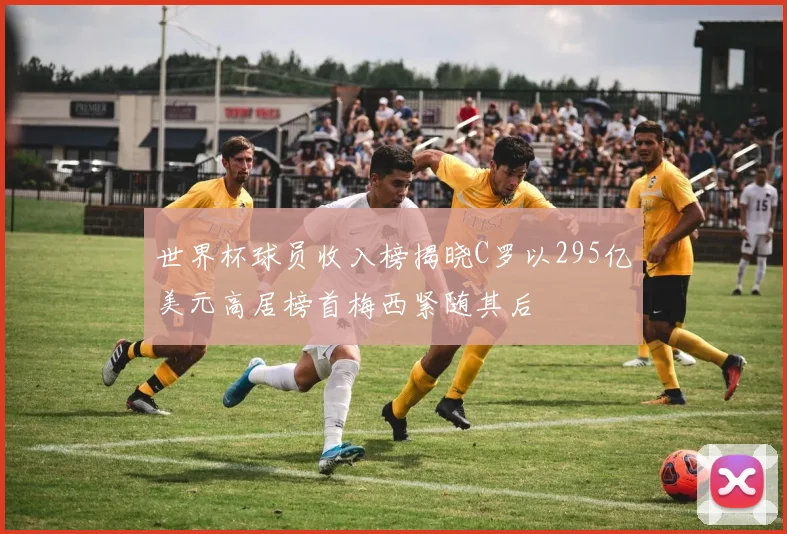 世界杯球员收入榜揭晓C罗以295亿美元高居榜首梅西紧随其后
